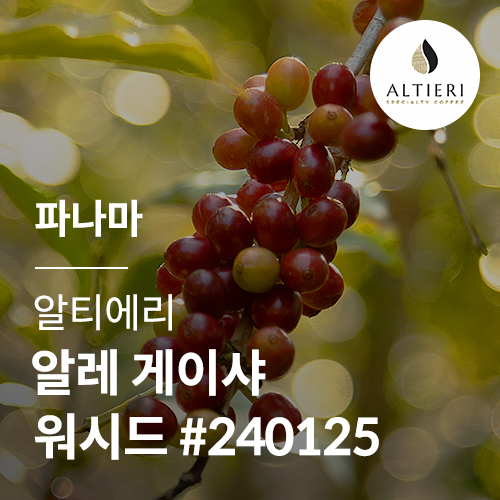 파나마 알티에리 알레 게이샤 워시드 #240125