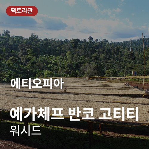 에티오피아 G1 예가체프 반코 고티티 워시드 &middot; 20KG세일