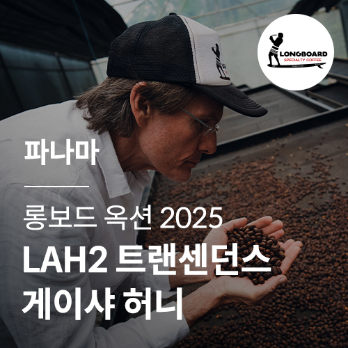 파나마 롱보드 옥션 2025 LAH2 트랜센던스 게이샤 허니