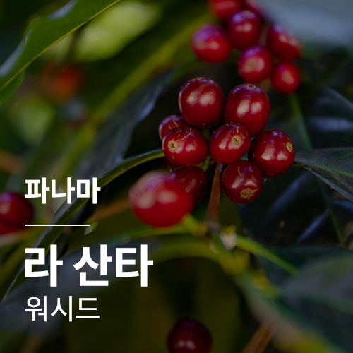 파나마 라 산타 워시드