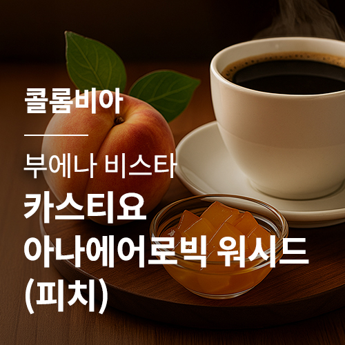 콜롬비아 부에나 비스타 카스티요 아나에어로빅 워시드 (피치)