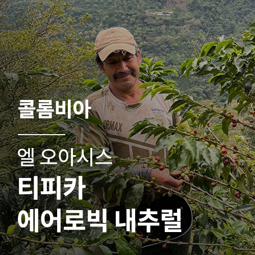 콜롬비아 엘 오아시스 티피카 에어로빅 내추럴 &middot; 2월세일