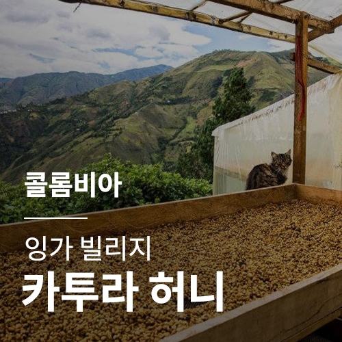 콜롬비아 잉가 빌리지 카투라 허니 &middot; 2월세일