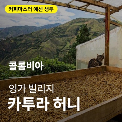 콜롬비아 잉가 빌리지 카투라 허니 &middot; 예선생두