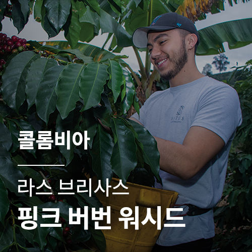 콜롬비아 라스 브리사스 핑크 버번 워시드