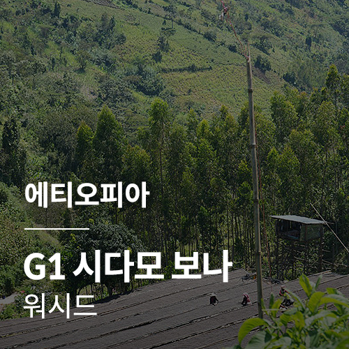 에티오피아 G1 시다모 보나 워시드 &middot; 2월세일