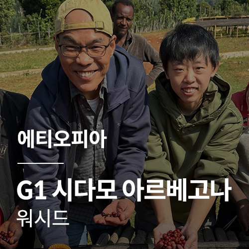 에티오피아 G1 시다모 아르베고나 워시드