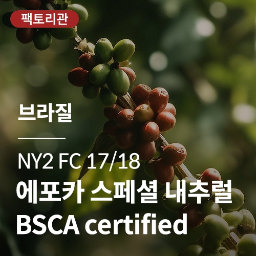 브라질 NY2 FC 17/18 에포카 스페셜 내추럴 BSCA certified