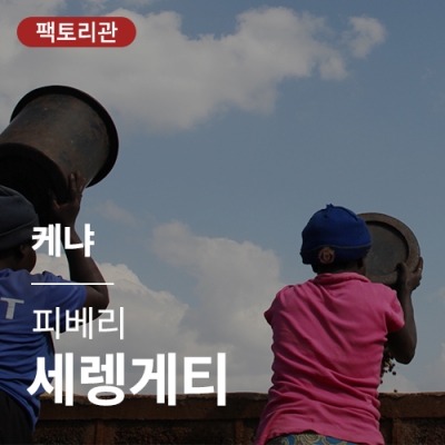 케냐 피베리 세렝게티 &middot; 20KG세일