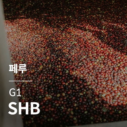 페루 G1 SHB &middot; 2월세일