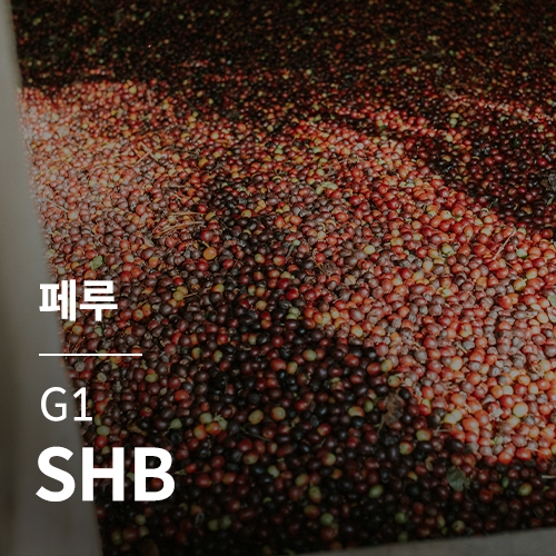 페루 G1 SHB &middot; 2월세일