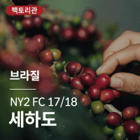 브라질 NY2 FC 17/18 세하도 &middot; 20KG세일