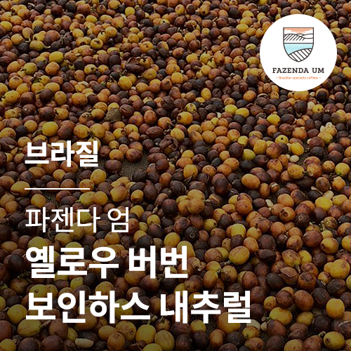 브라질 파젠다 엄 옐로우 버번 보인하스 내추럴 &middot; 5월세일