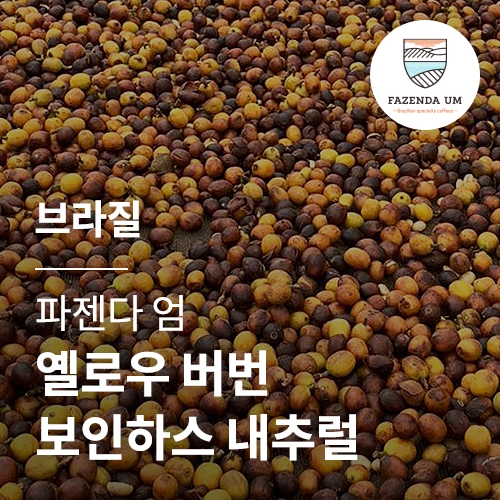 브라질 파젠다 엄 옐로우 버번 보인하스 내추럴 &middot; 5월세일