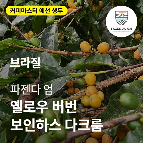 브라질 파젠다 엄 옐로우 버번 보인하스 다크룸 · 4월세일
