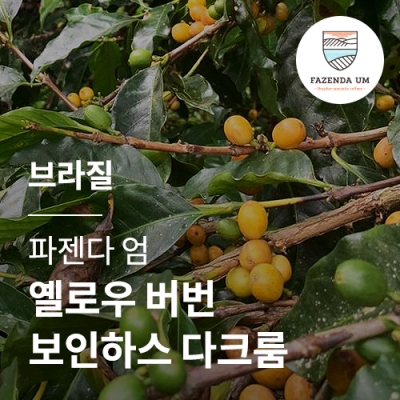 브라질 파젠다 엄 옐로우 버번 보인하스 다크룸