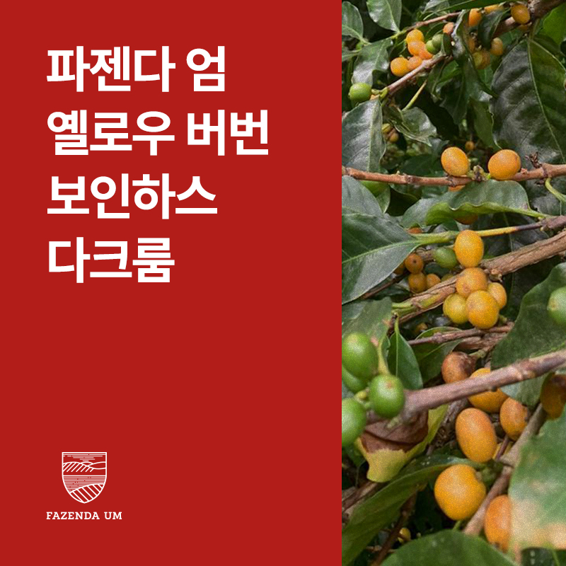 브라질 파젠다 엄 옐로우 버번 보인하스 다크룸 &middot; 8월세일
