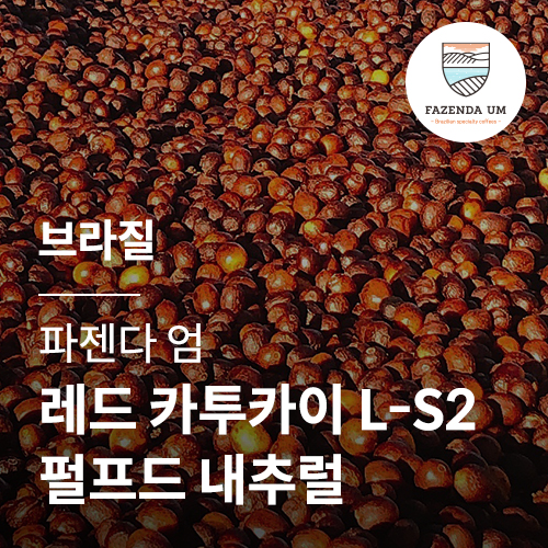 브라질 파젠다 엄 레드 카투카이 L-S2 펄프드 내추럴