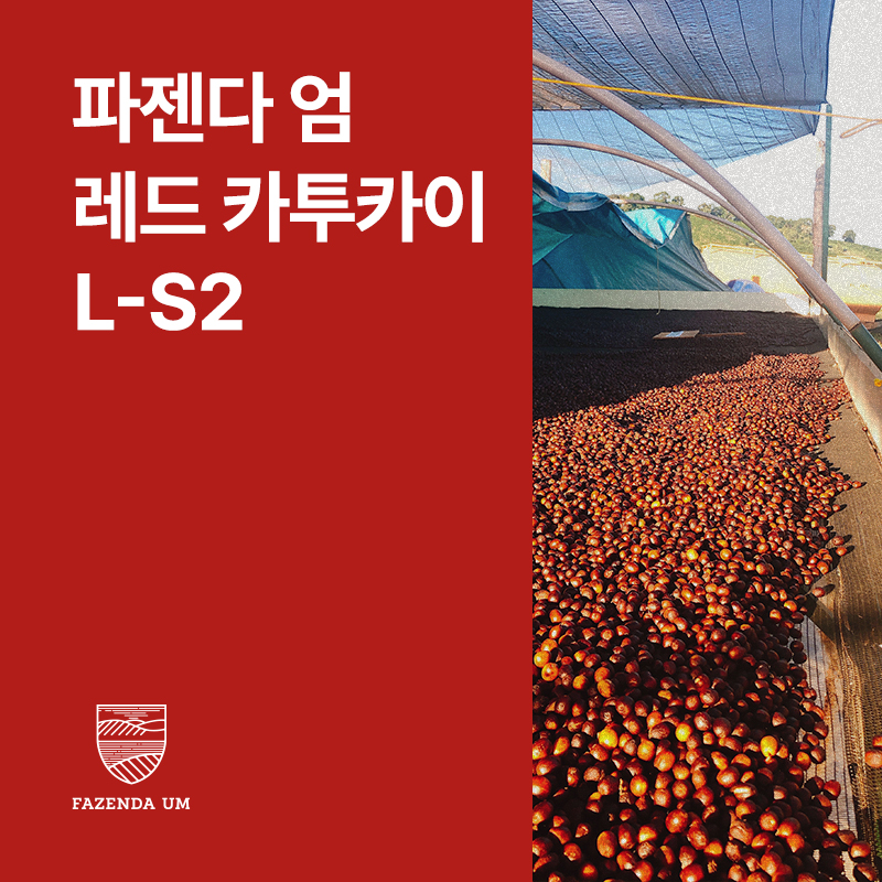 브라질 파젠다 엄 레드 카투카이 L-S2 펄프드 내추럴