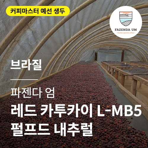 브라질 파젠다 엄 레드 카투카이 L-MB5 펄프드 내추럴