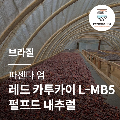 브라질 파젠다 엄 레드 카투카이 L-MB5 펄프드 내추럴