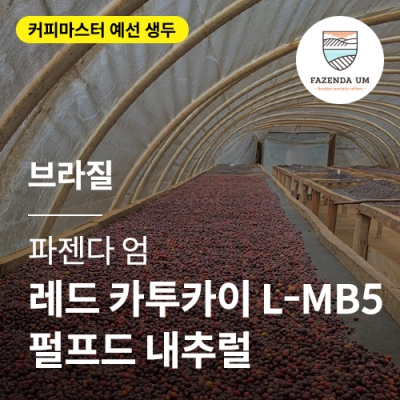 브라질 파젠다 엄 레드 카투카이 L-MB5 펄프드 내추럴 &middot; 예선생두