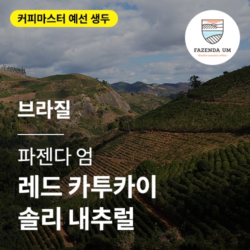 브라질 파젠다 엄 레드 카투카이 솔리 내추럴