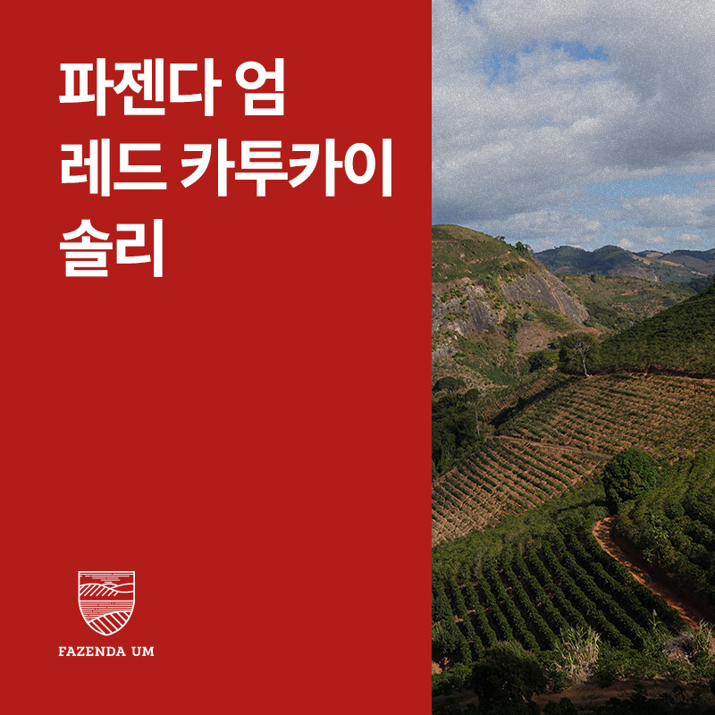 브라질 파젠다 엄 레드 카투카이 솔리 내추럴