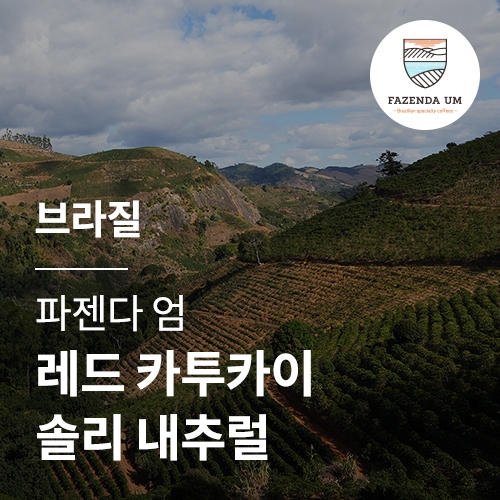 브라질 파젠다 엄 레드 카투카이 솔리 내추럴