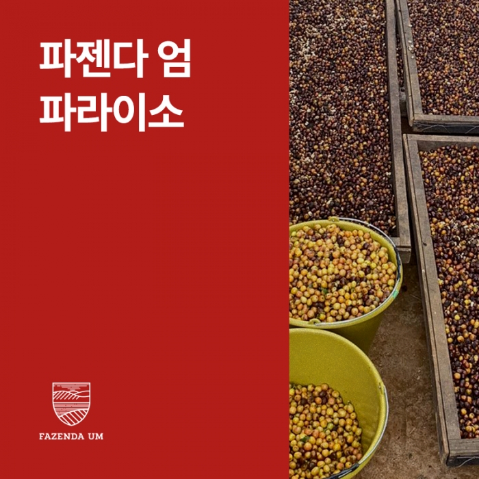 브라질 파젠다 엄 파라이소 펄프드 내추럴