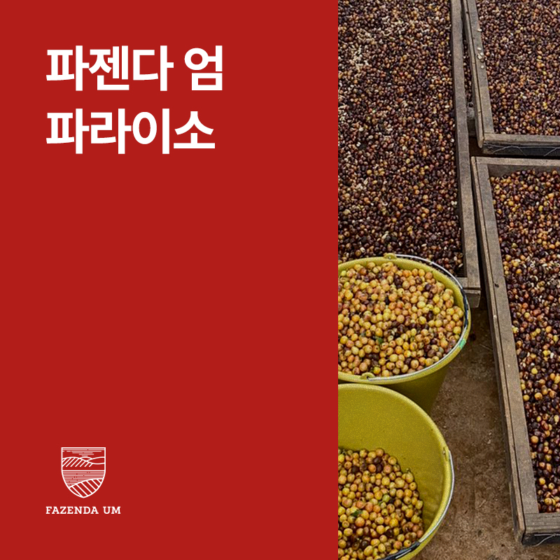 브라질 파젠다 엄 파라이소 펄프드 내추럴
