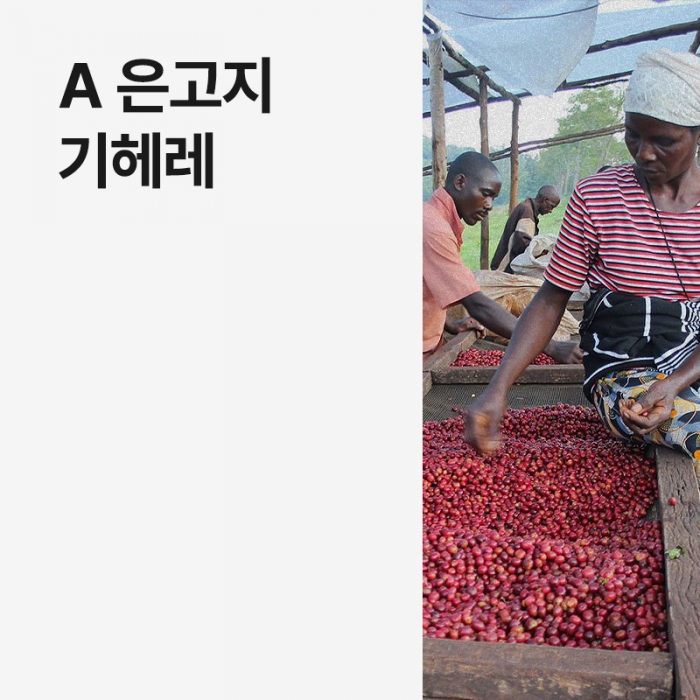 부룬디 A 은고지 기헤레 풀리 워시드