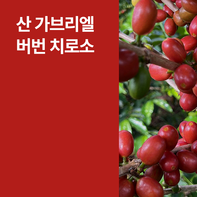 콜롬비아 산 가브리엘 버번 치로소 아나에어로빅 워시드