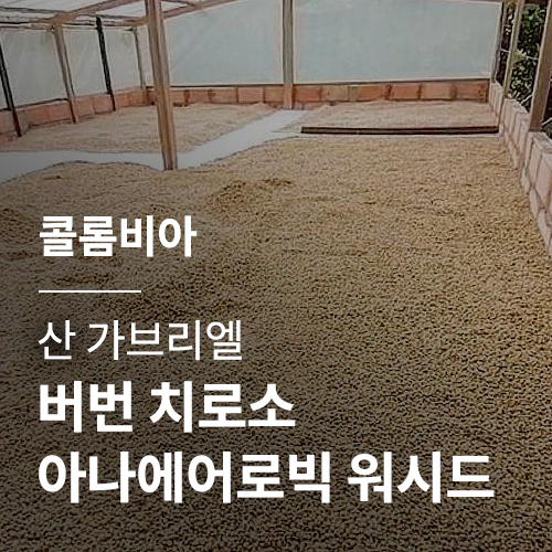 콜롬비아 산 가브리엘 버번 치로소 아나에어로빅 워시드