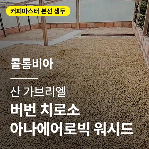 콜롬비아 산 가브리엘 버번 치로소 아나에어로빅 워시드