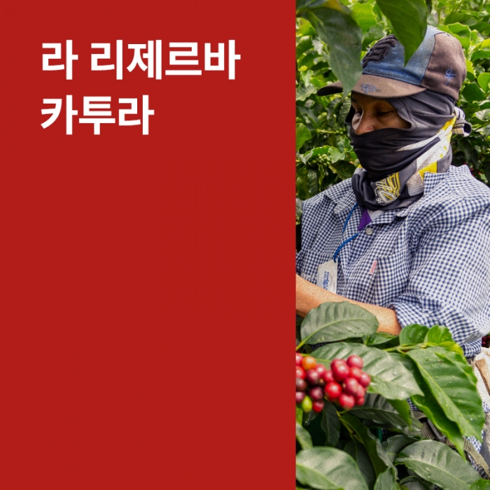 콜롬비아 라 리제르바 카투라 아나에어로빅 허니 (리치)