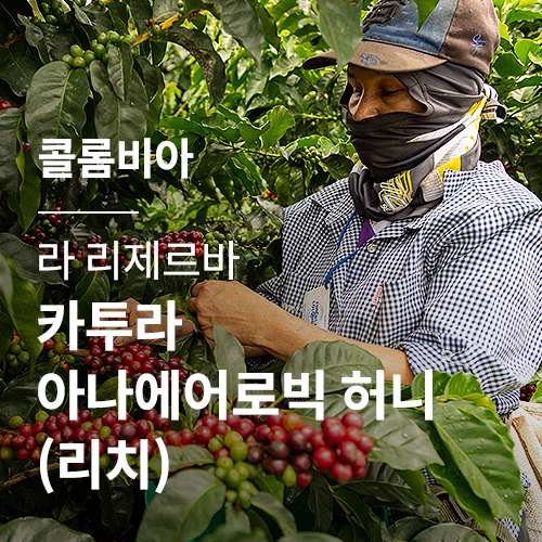 콜롬비아 라 리제르바 카투라 아나에어로빅 허니 (리치)