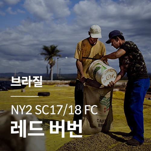 브라질 NY2 SC17/18 FC 레드 버번