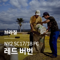 브라질 NY2 SC17/18 FC 레드 버번 &middot; 5월세일