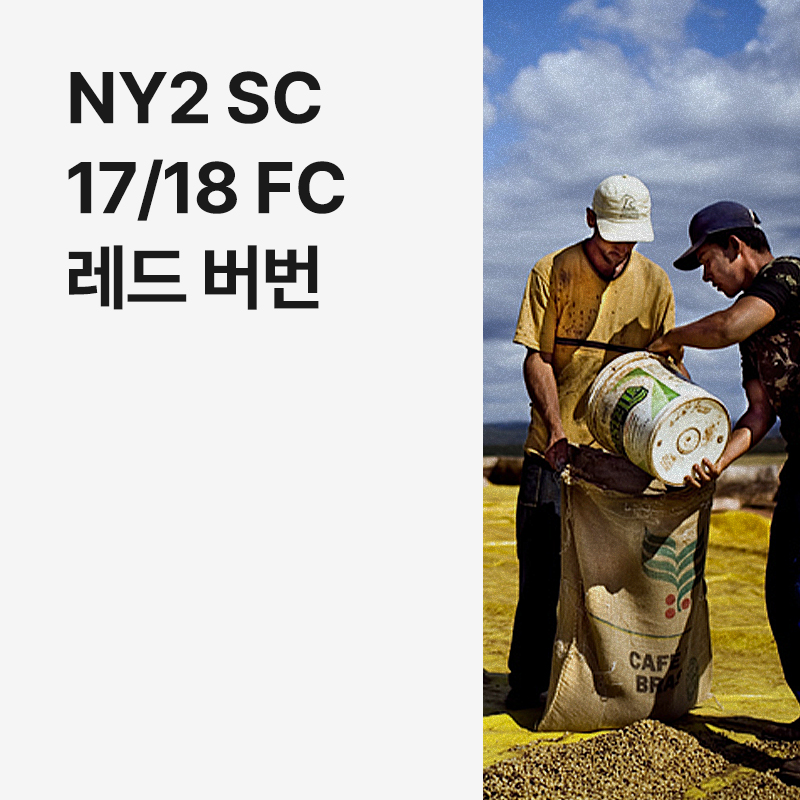 브라질 NY2 SC17/18 FC 레드 버번