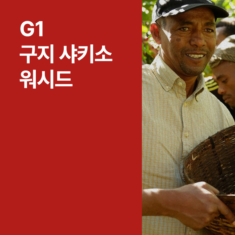 에티오피아 G1 구지 샤키소 워시드