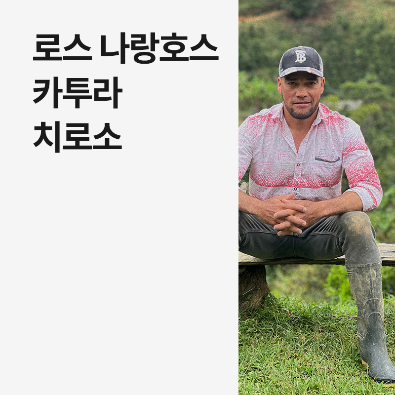 콜롬비아 로스 나랑호스 카투라 치로소 워시드 EF