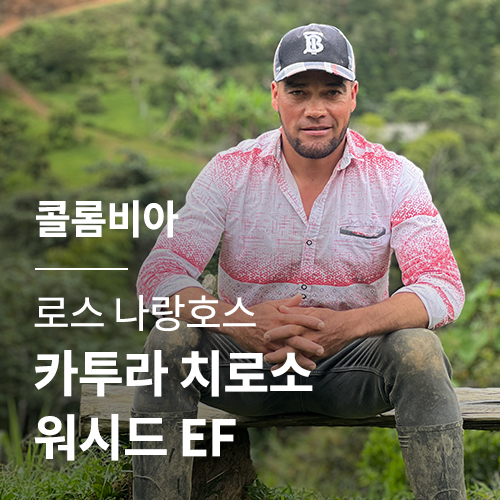 콜롬비아 로스 나랑호스 카투라 치로소 워시드 EF