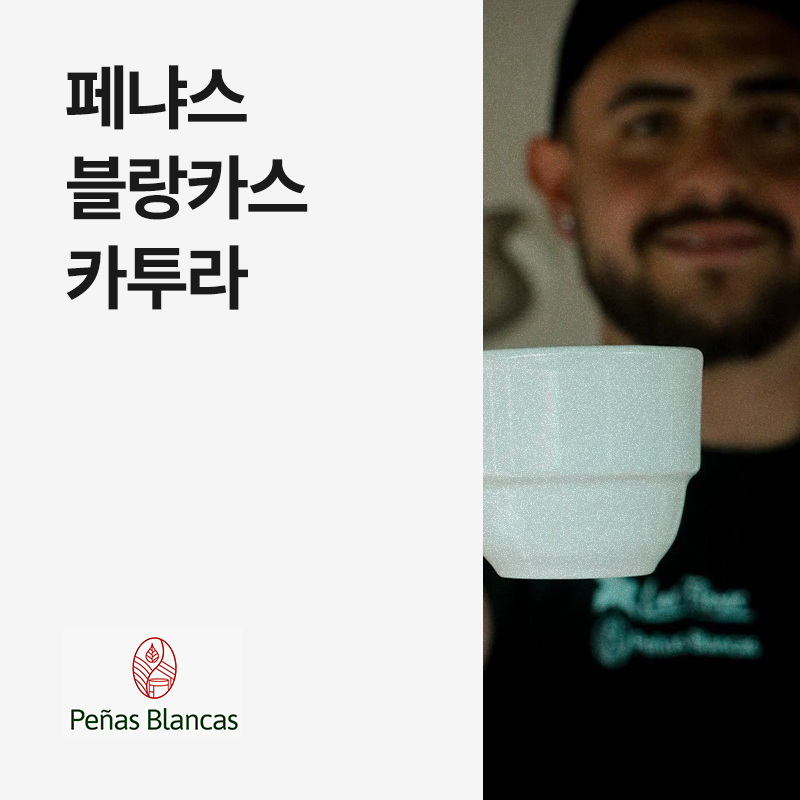 콜롬비아 페냐스 블랑카스 카투라 워시드