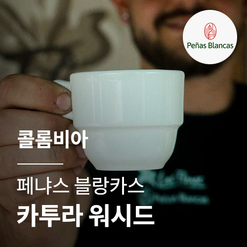 콜롬비아 페냐스 블랑카스 카투라 워시드