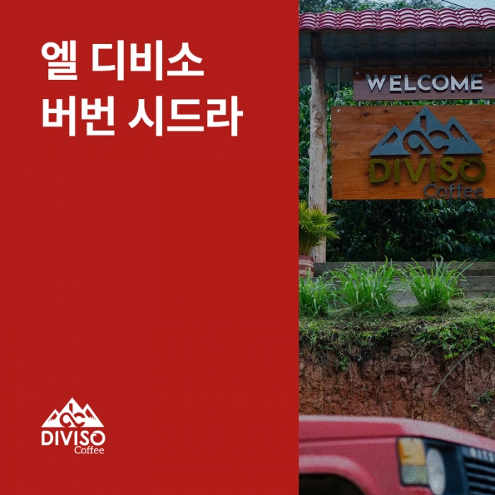 콜롬비아 엘 디비소 버번 시드라 워시드
