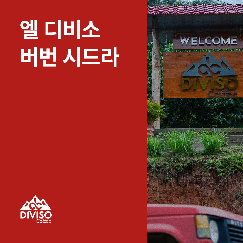 콜롬비아 엘 디비소 버번 시드라 워시드