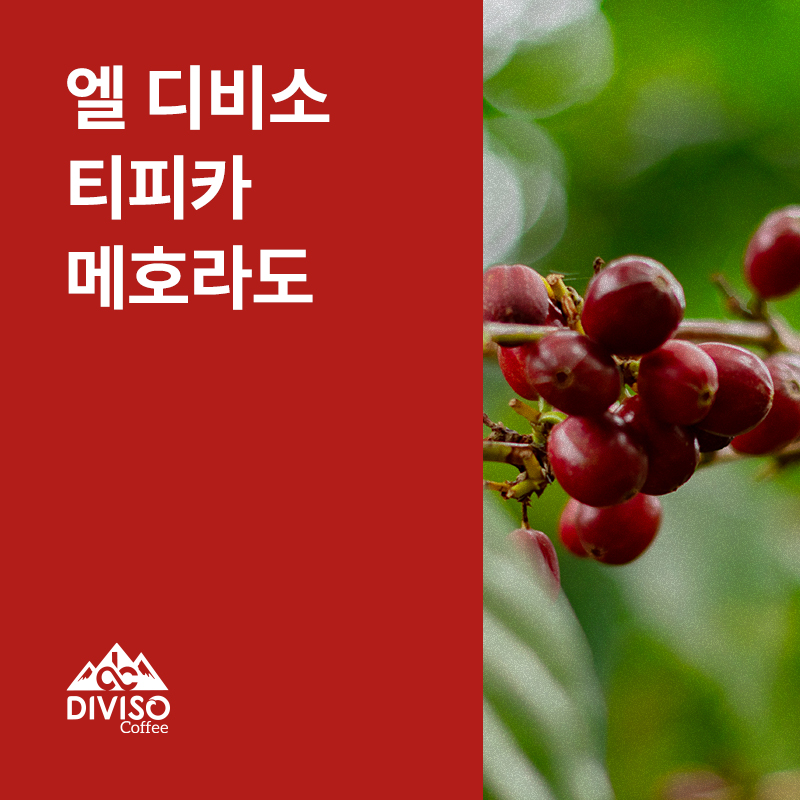 콜롬비아 엘 디비소 티피카 메호라도 워시드