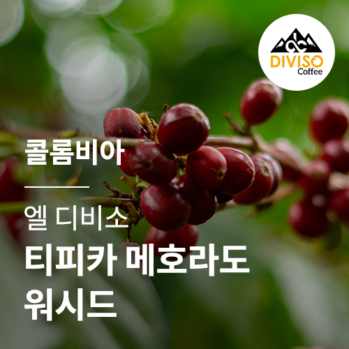 콜롬비아 엘 디비소 티피카 메호라도 워시드