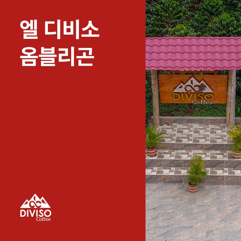콜롬비아 엘 디비소 옴블리곤 워시드